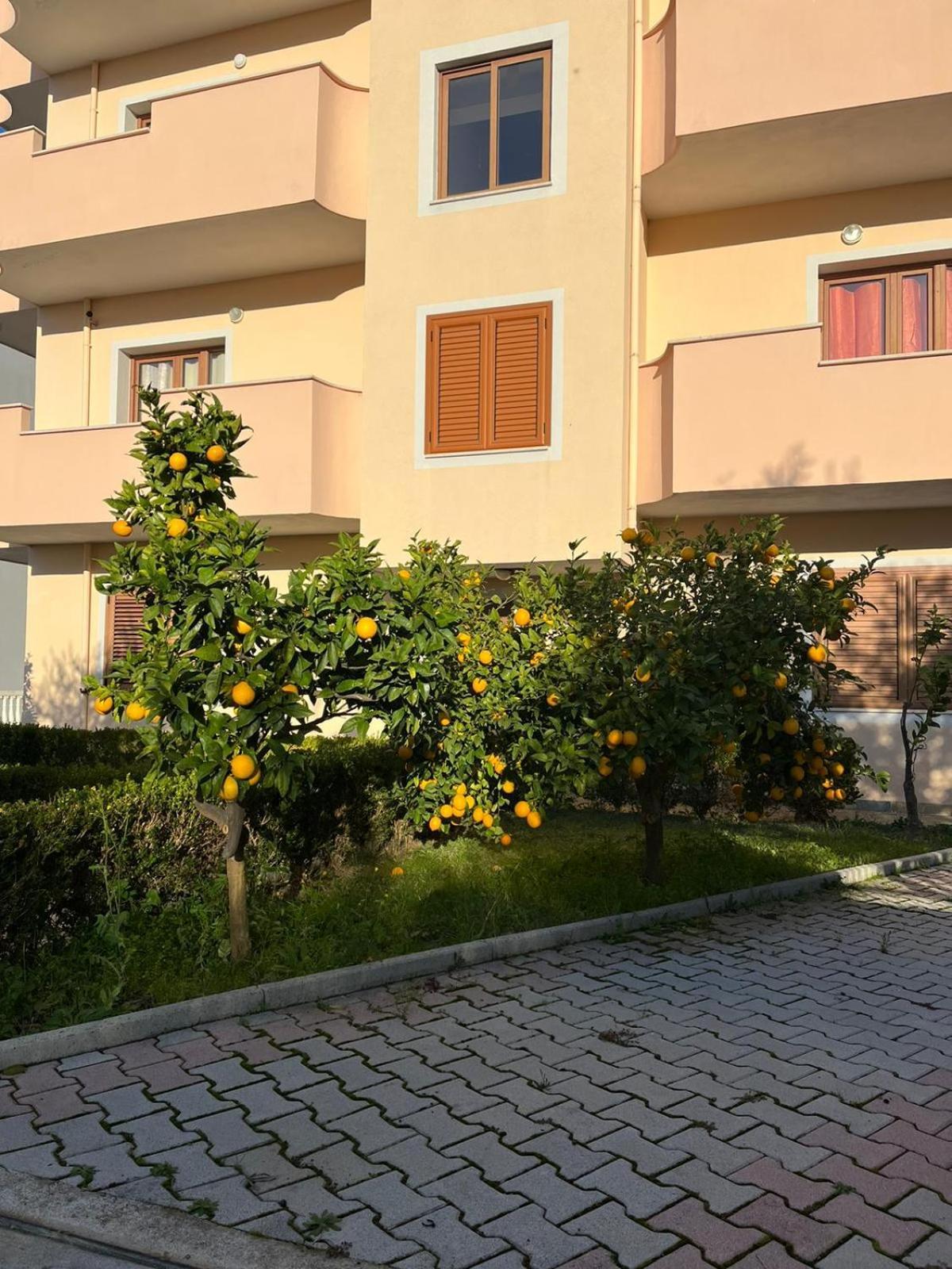 Villa Dei Limoni Shkallnur Екстер'єр фото