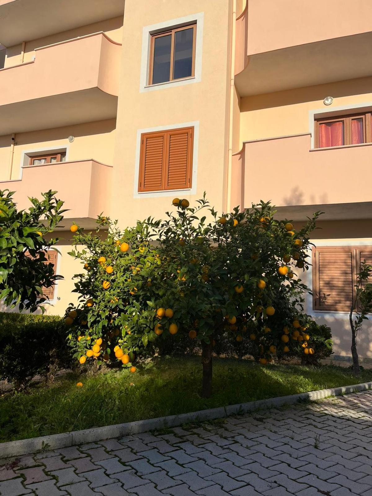 Villa Dei Limoni Shkallnur Екстер'єр фото