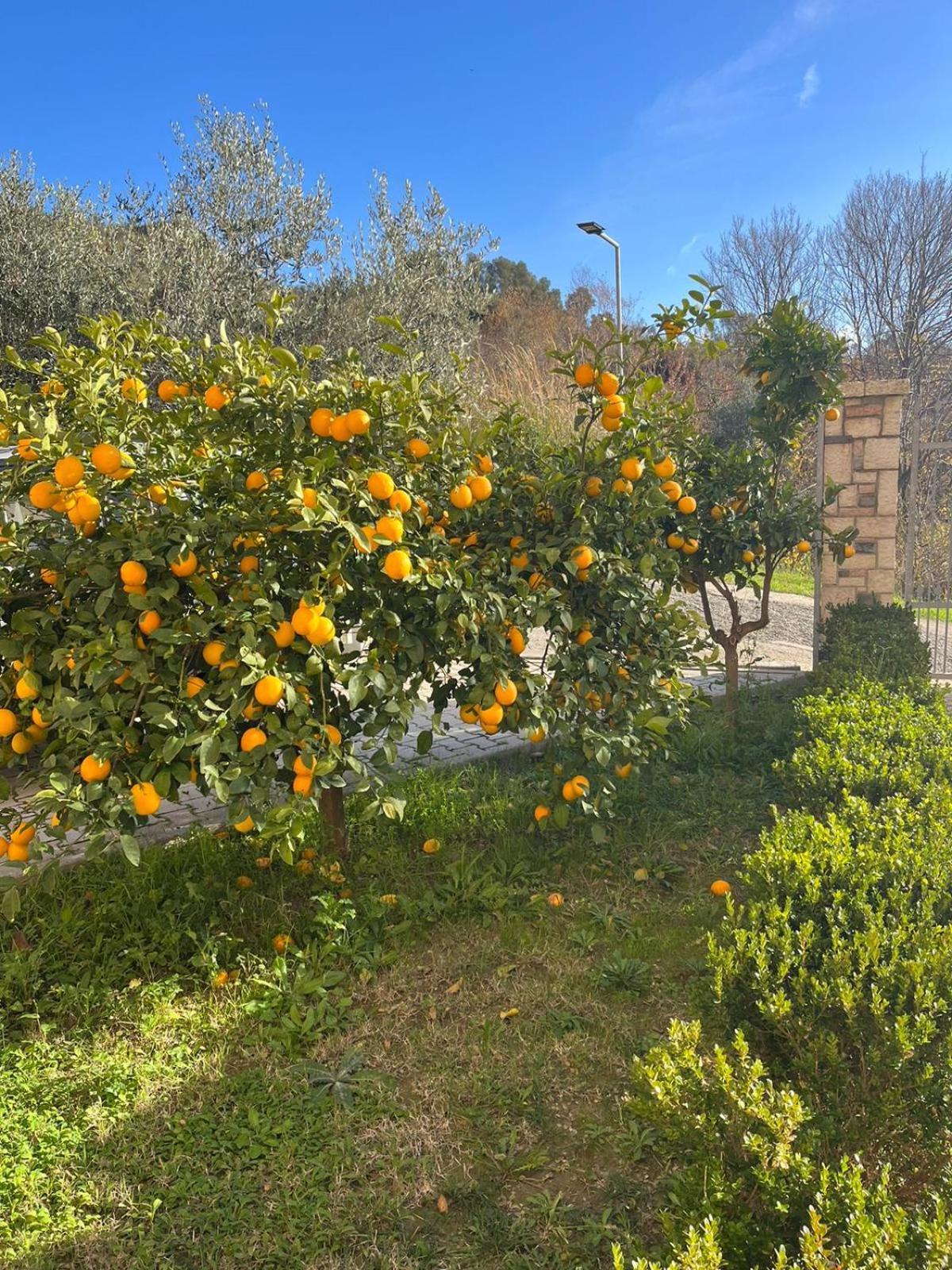 Villa Dei Limoni Shkallnur Екстер'єр фото