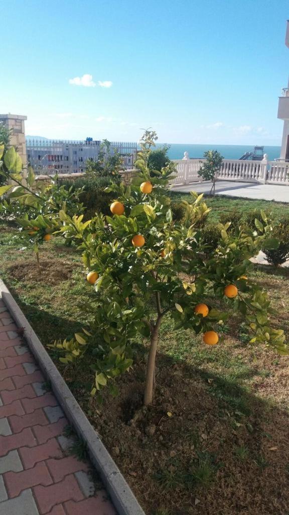 Villa Dei Limoni Shkallnur Екстер'єр фото